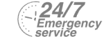 24/7 Emergency Service Pest Control in Barkingside, Hainault, IG6. Call Now! 020 8166 9746
