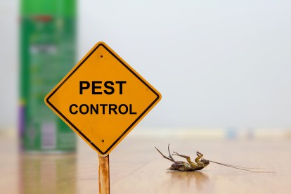 Pest Contol in Barkingside, Hainault, IG6. Call Now 020 8166 9746